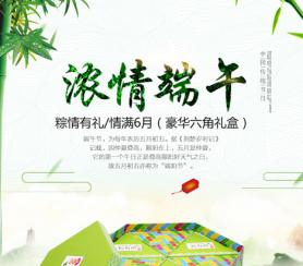 濃情端午 粽情有禮豪華六角禮盒
